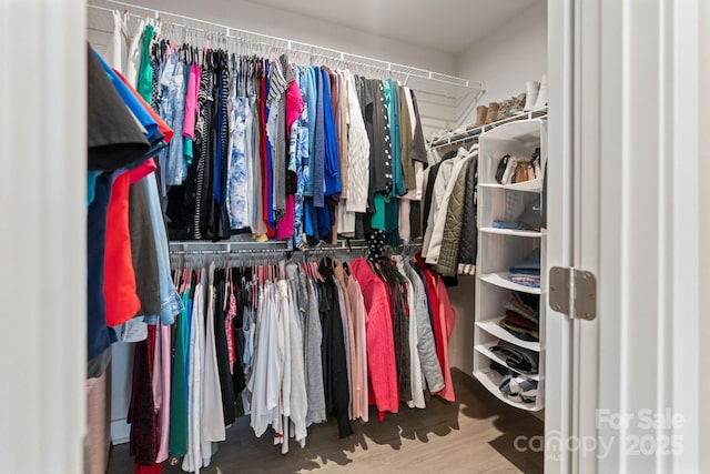 walk in closet with wood finished floors