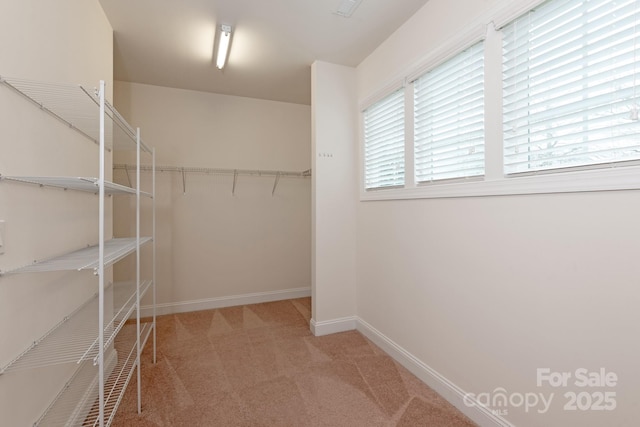 spacious closet with carpet flooring