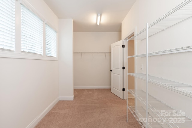 walk in closet featuring light carpet