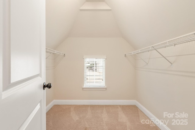 spacious closet featuring vaulted ceiling and carpet