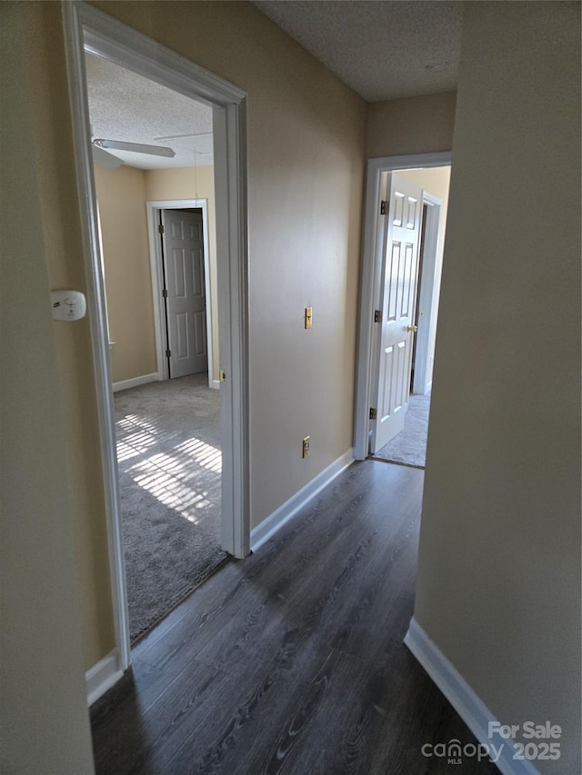 2345 Nuthatch Dr, Rock Hill, SC 29732 - photo 12