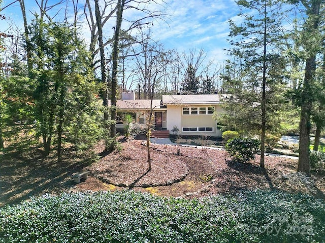 back of house featuring stucco siding