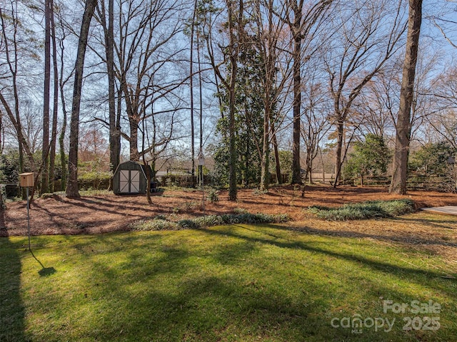 view of yard featuring a storage shed and an outdoor structure