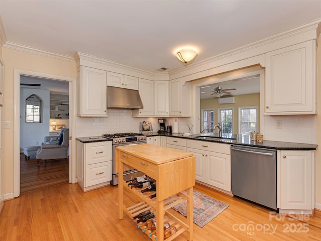 kitchen featuring appliances with stainless steel finishes, a sink, white cabinets, and under cabinet range hood