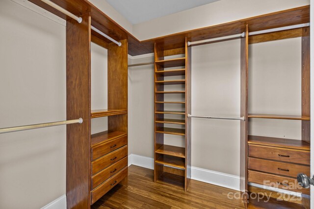 spacious closet with dark wood-style flooring