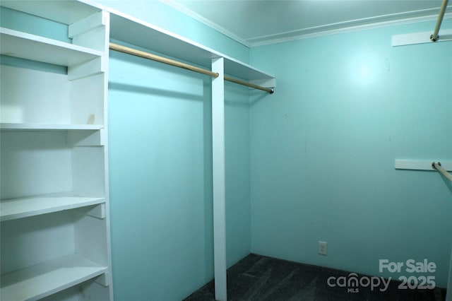 walk in closet with dark carpet