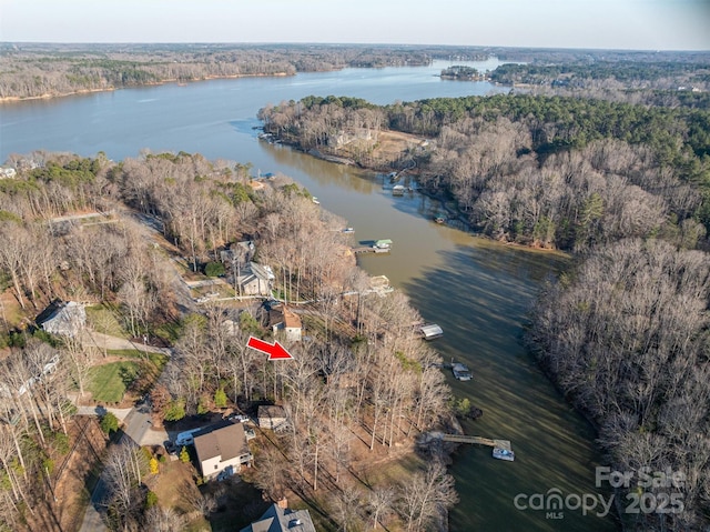 drone / aerial view with a water view and a forest view