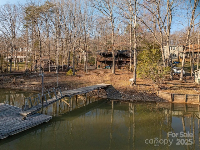 dock area with a water view