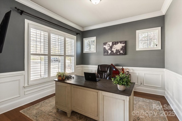 office area with dark wood-style floors, a wainscoted wall, and crown molding