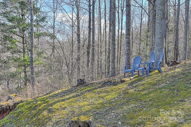 view of yard featuring a forest view