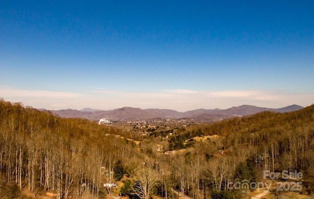 view of mountain feature featuring a wooded view