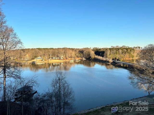 property view of water with a wooded view