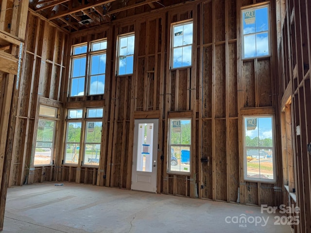 7441 Fighting Creek Rd Unit 30, Sherrills Ford, NC 28673 - miscellaneous room with a high ceiling and plenty of natural light