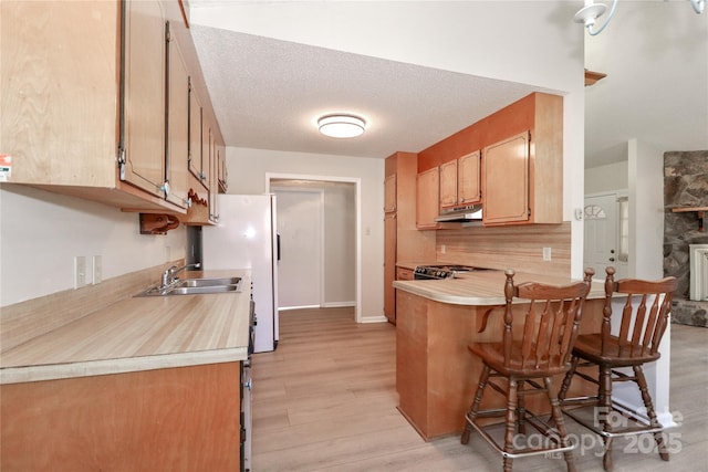 kitchen with light wood-style flooring, a peninsula, light countertops, under cabinet range hood, and a sink