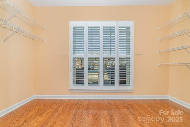 spacious closet featuring wood finished floors