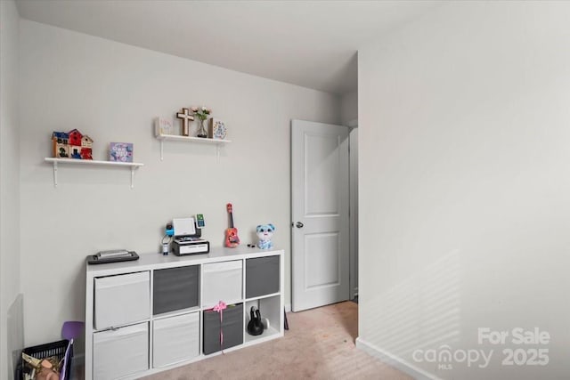 interior space with light colored carpet