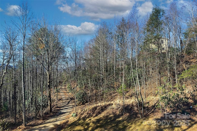 215 David Ridge Rd, Black Mountain, NC 28711 - view of nature featuring a wooded view