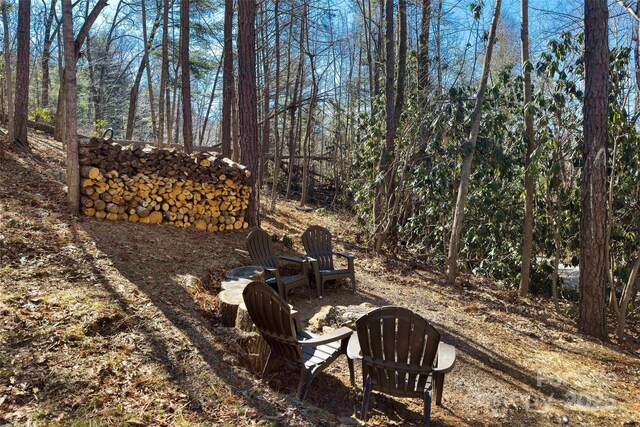 215 David Ridge Rd, Black Mountain, NC 28711 - view of yard