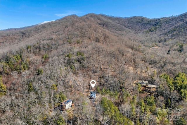 215 David Ridge Rd, Black Mountain, NC 28711 - view of mountain feature