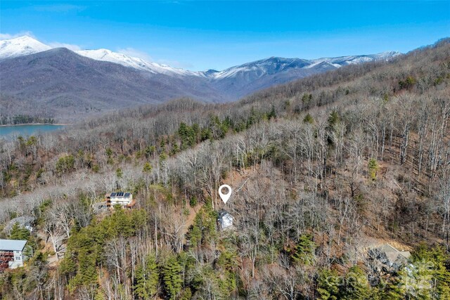 215 David Ridge Rd, Black Mountain, NC 28711 - view of mountain feature featuring a water view