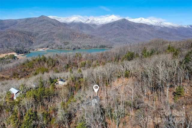 215 David Ridge Rd, Black Mountain, NC 28711 - view of mountain feature with a water view