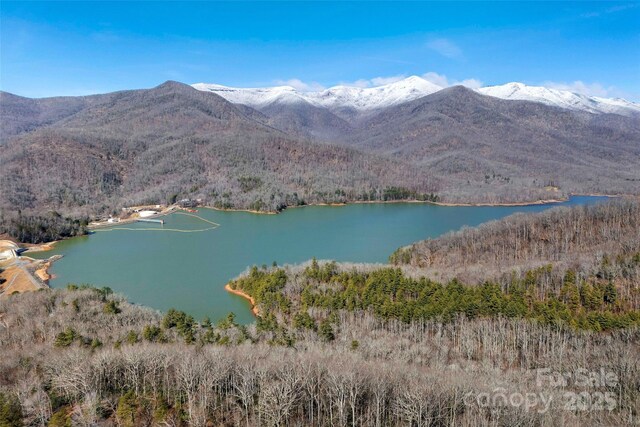 215 David Ridge Rd, Black Mountain, NC 28711 - aerial view with a water and mountain view