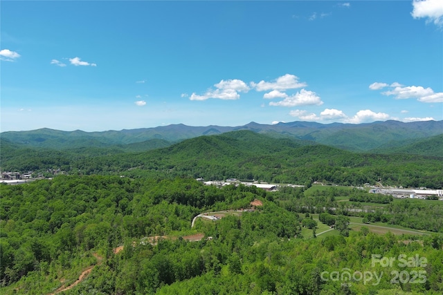 view of mountain feature with a forest view