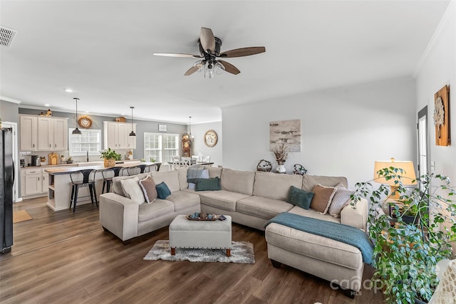 living room featuring dark wood-style floors, ceiling fan, visible vents, and ornamental molding