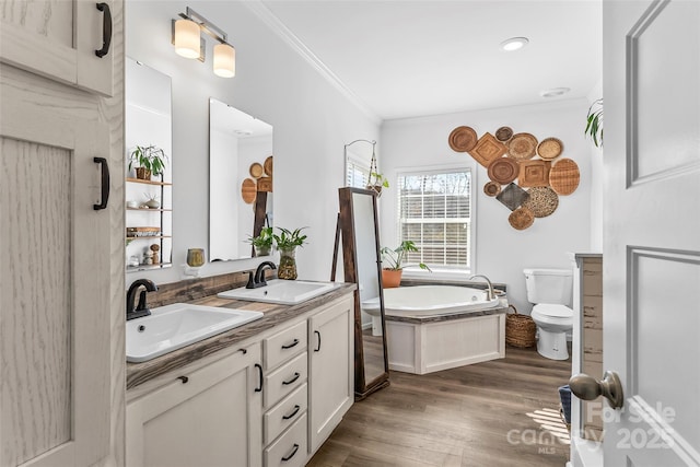 bathroom featuring toilet, a garden tub, ornamental molding, and a sink