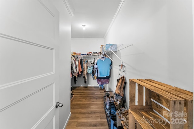 walk in closet featuring dark wood-type flooring