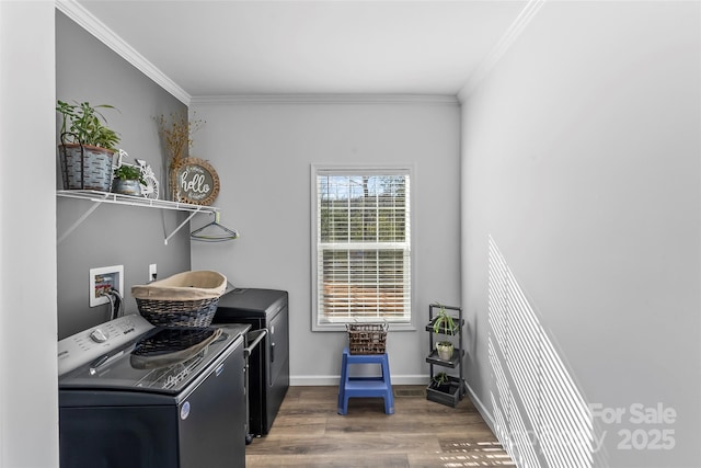 washroom featuring crown molding, separate washer and dryer, wood finished floors, laundry area, and baseboards