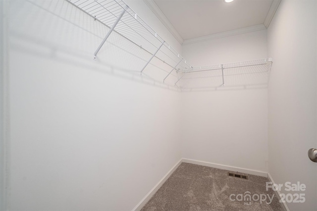 spacious closet with carpet and visible vents