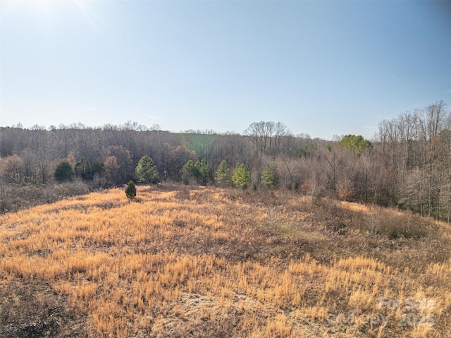 view of local wilderness featuring a rural view