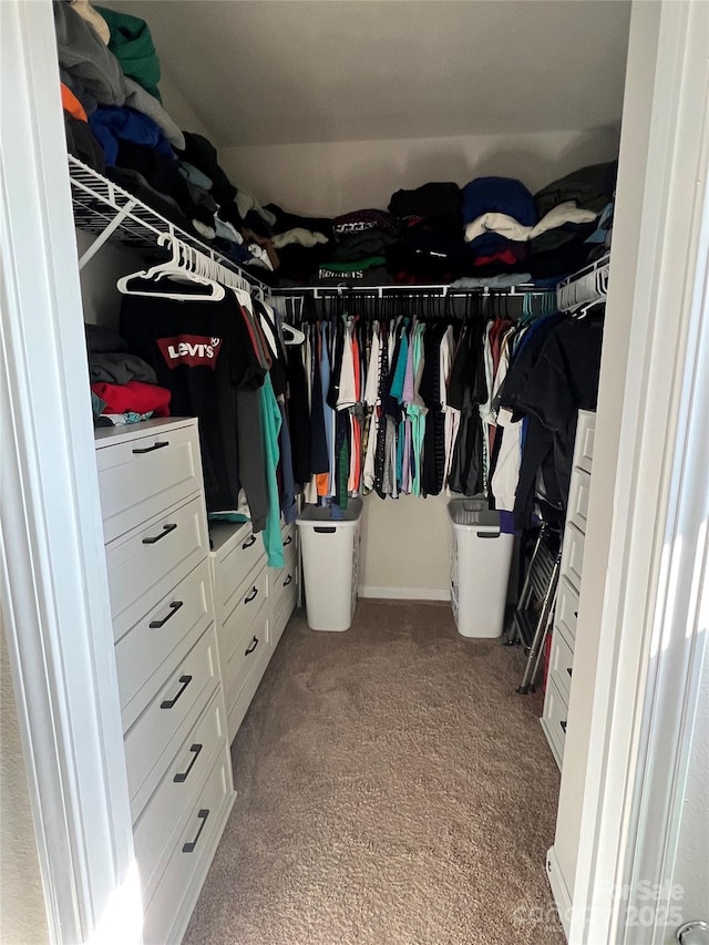 walk in closet with carpet flooring