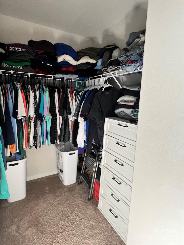 walk in closet featuring carpet floors