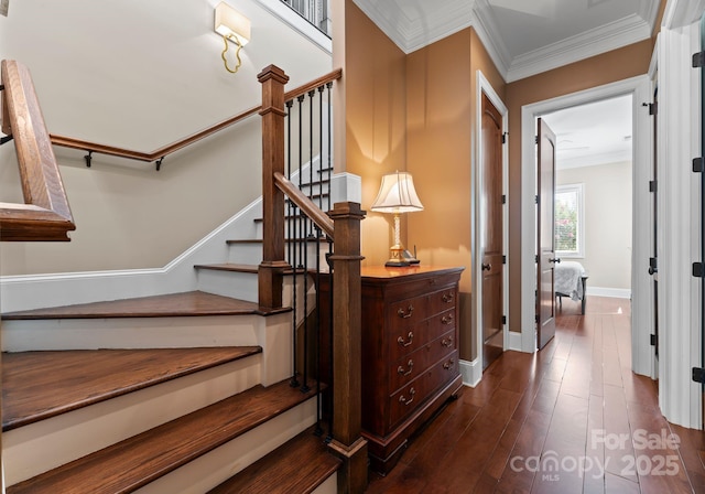 stairway featuring baseboards, wood finished floors, and crown molding