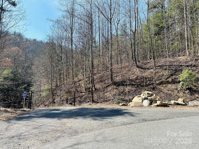 00 Staghorn Rd, Purlear NC, 28665 land for sale