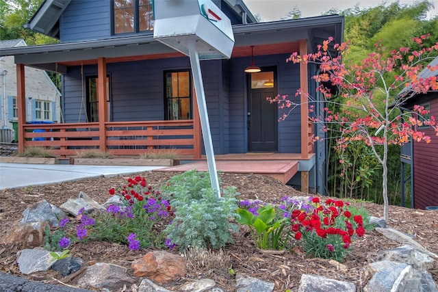 view of exterior entry featuring a porch