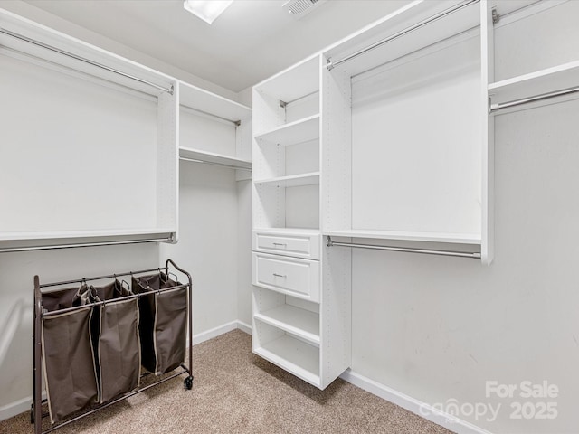 spacious closet featuring carpet flooring and visible vents