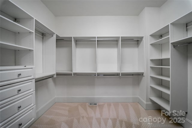 walk in closet with light carpet