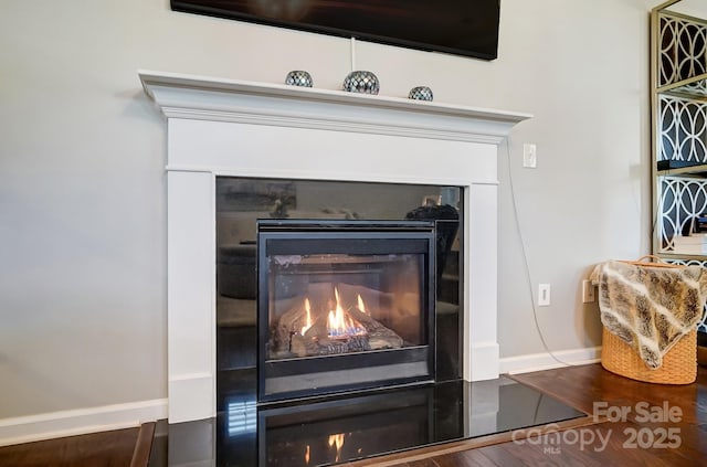 room details with baseboards, wood finished floors, and a glass covered fireplace