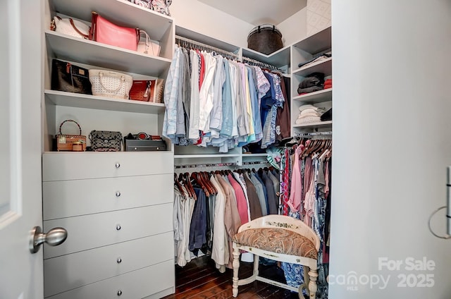 walk in closet featuring dark wood finished floors