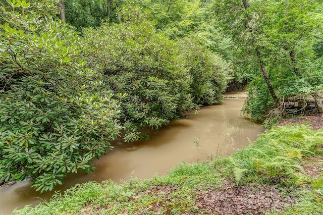 view of landscape featuring a water view