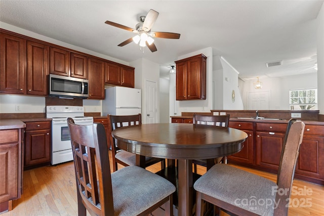 dining room featuring ceiling fan, visible vents, and light wood-type flooring