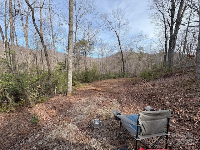 Listing photo 2 for 00 Ridgecrest Dr, Lake Lure NC 28746