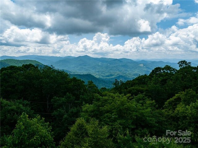 167 Bold Springs Rd, Sylva, NC 28779 - view of mountain feature with a forest view