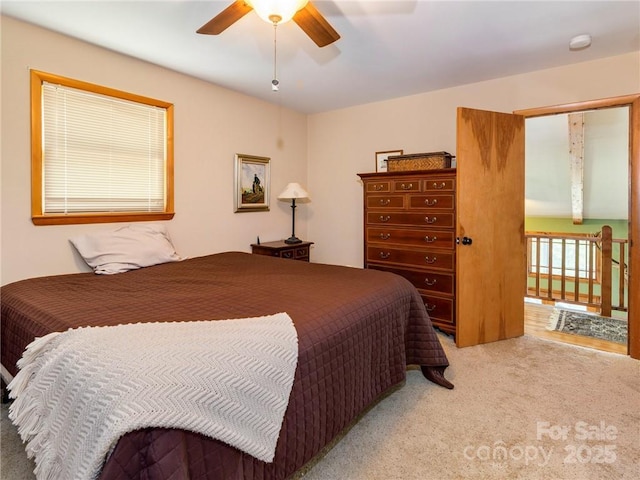 167 Bold Springs Rd, Sylva, NC 28779 - bedroom with a ceiling fan and carpet floors