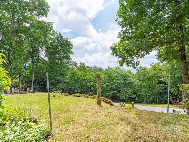 167 Bold Springs Rd, Sylva, NC 28779 - view of yard with a wooded view