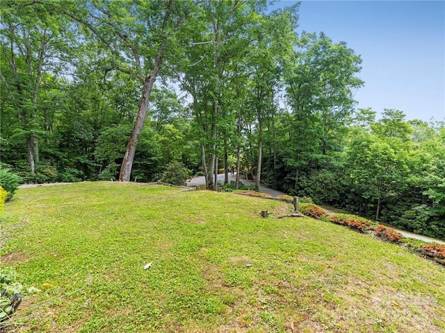167 Bold Springs Rd, Sylva, NC 28779 - view of yard