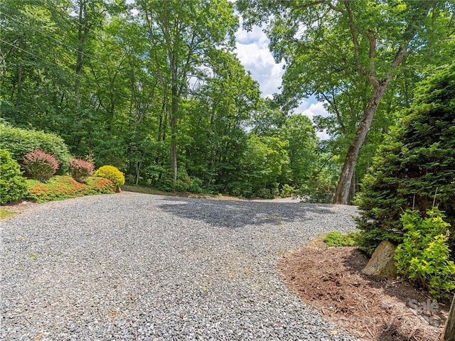 167 Bold Springs Rd, Sylva, NC 28779 - view of street